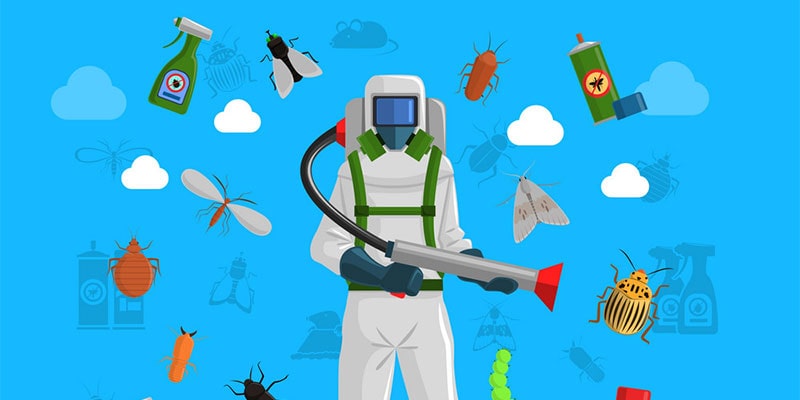 What Is An Exterminator {Service|Services} {Company|Business|Expert|Pro|Professional}?